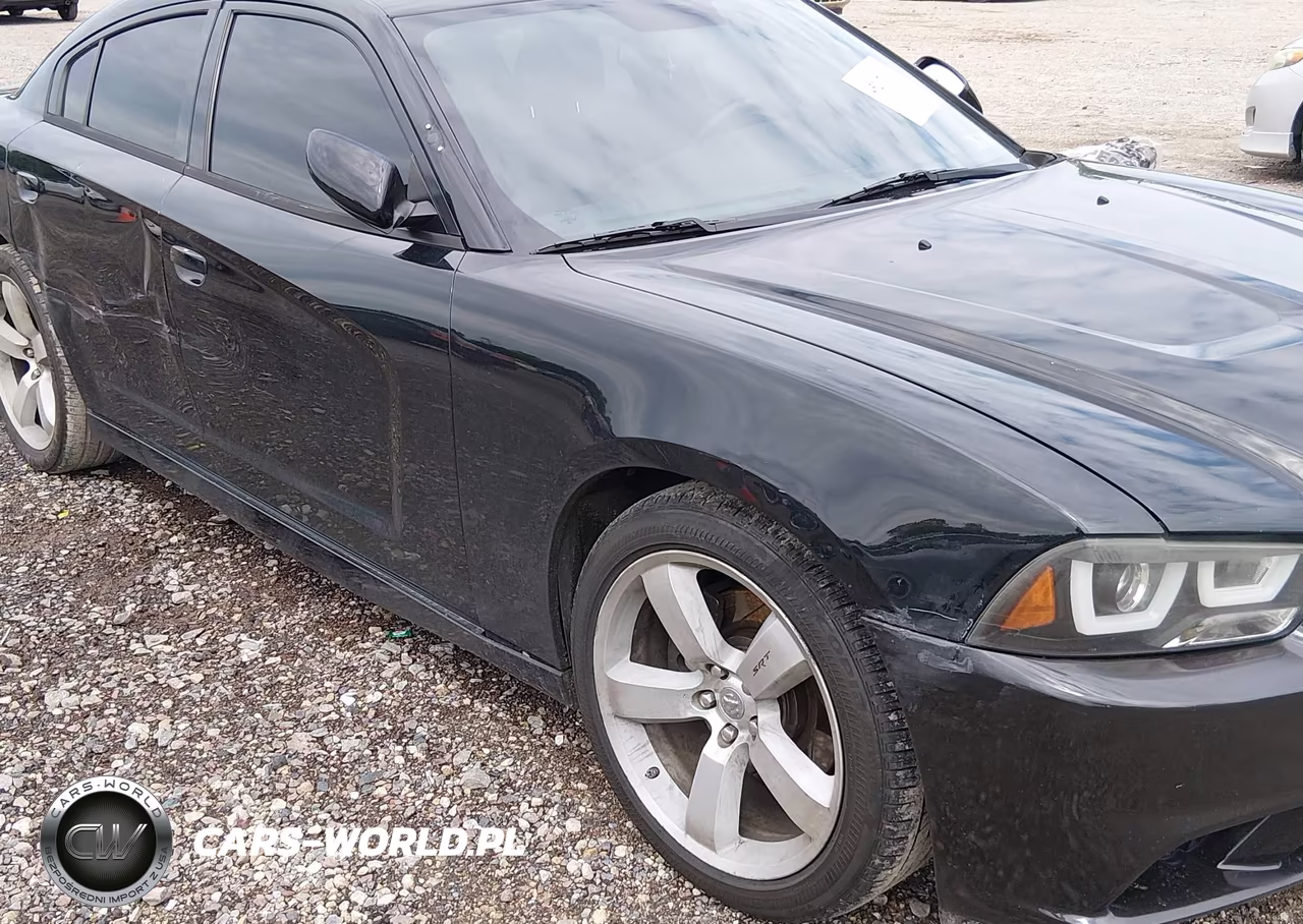 2013 Dodge Charger Police VIN:2C3CDXAT9DH716713 - 13