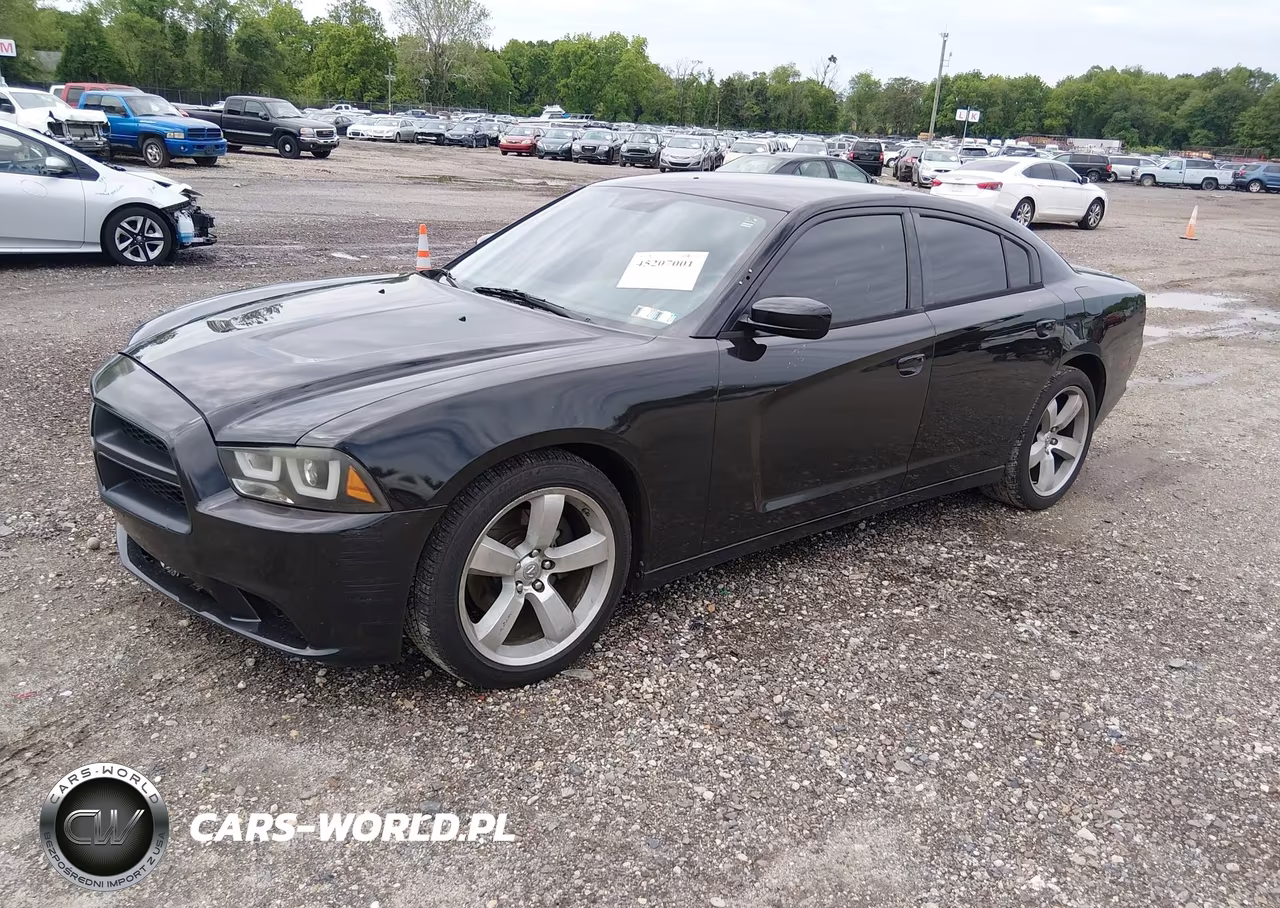 2013 Dodge Charger Police VIN:2C3CDXAT9DH716713 - 2