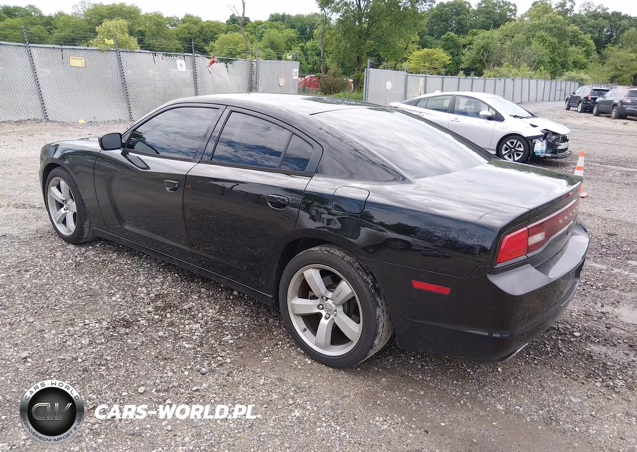 2013 Dodge Charger Police VIN:2C3CDXAT9DH716713 - 3