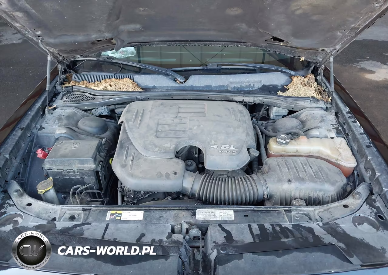2013 Dodge Challenger Sxt VIN:2C3CDYAG9DH500742 - 10