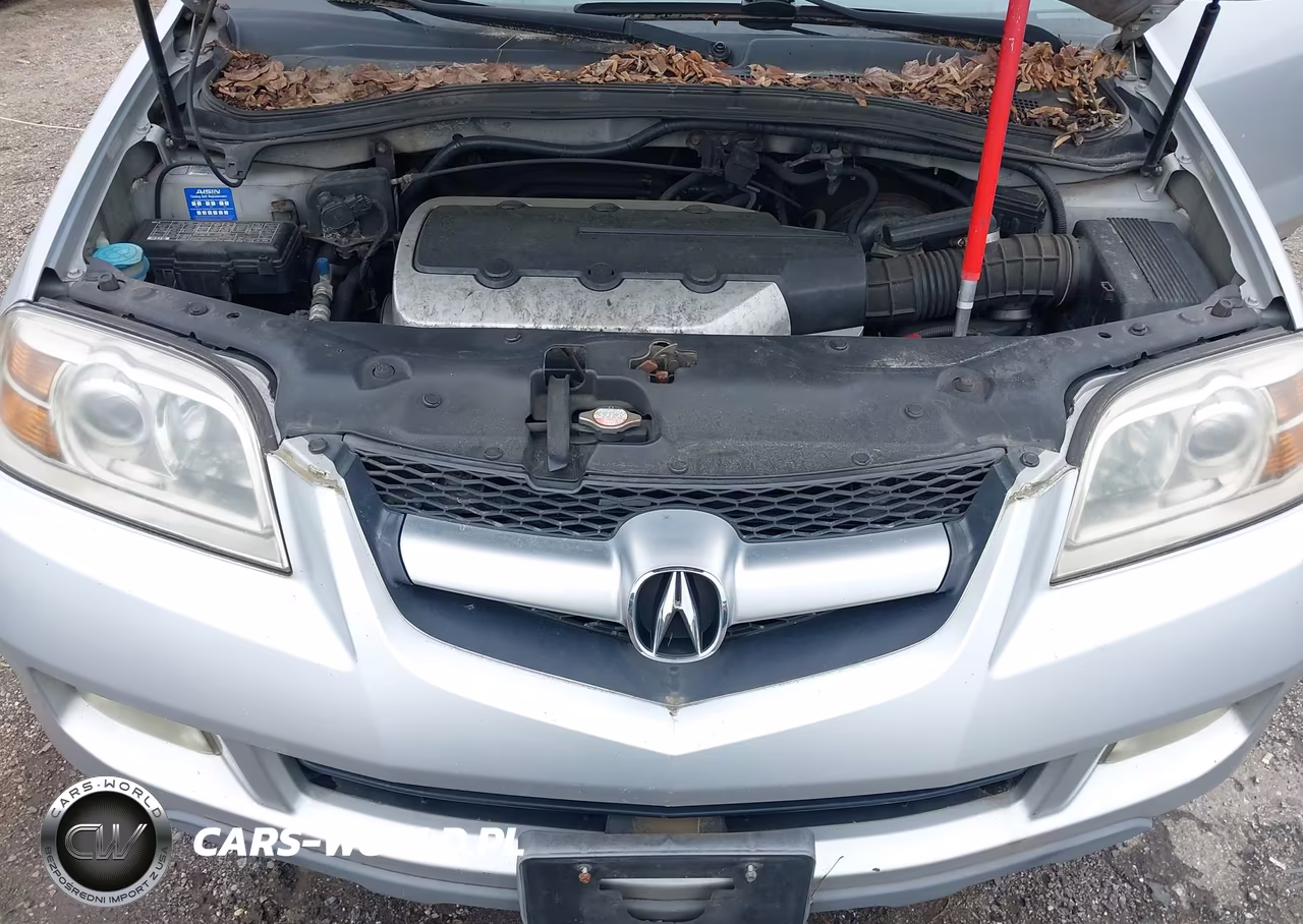 2004 Acura Mdx VIN:2HNYD18264H501828 - 10