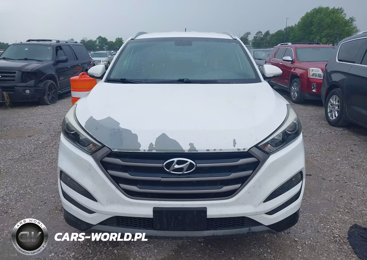 2016 Hyundai Tucson Eco VIN:KM8J3CA24GU082908 - 12