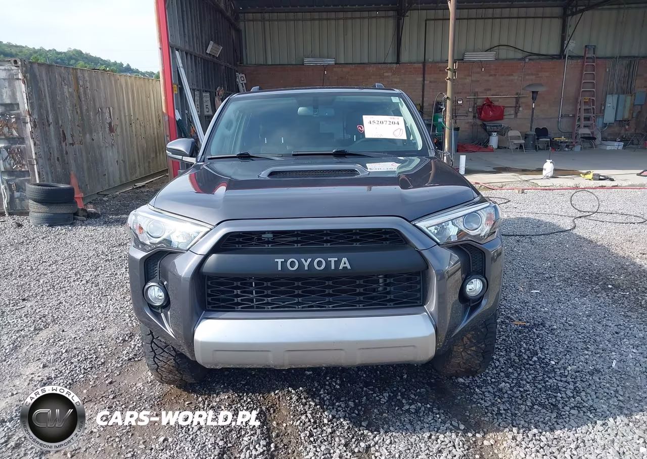 2019 Toyota 4Runner Trd Off Road Premium VIN:JTEBU5JR0K5734002 - 12