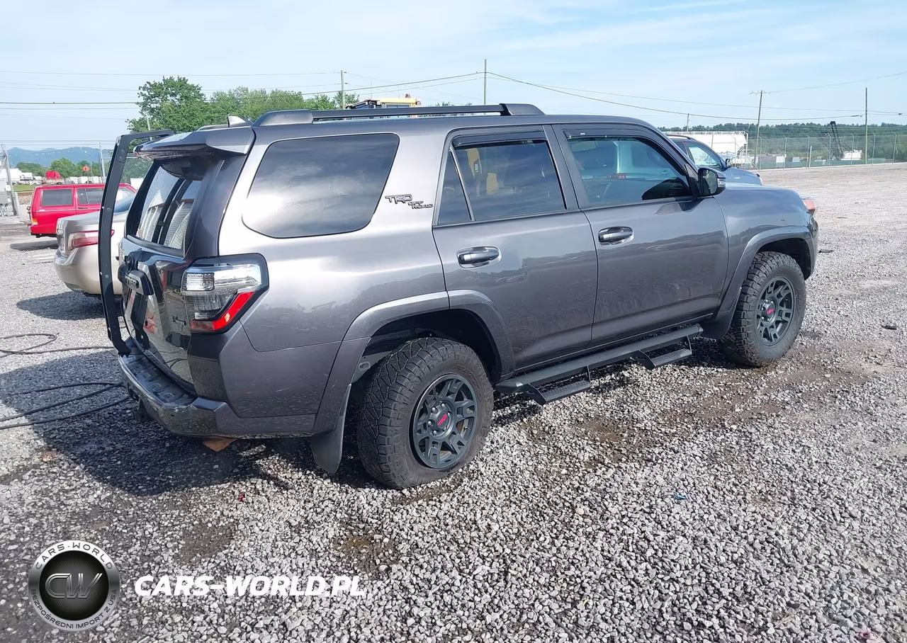 2019 Toyota 4Runner Trd Off Road Premium VIN:JTEBU5JR0K5734002 - 4