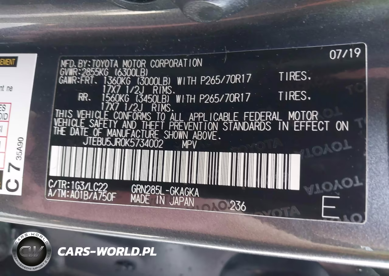 2019 Toyota 4Runner Trd Off Road Premium VIN:JTEBU5JR0K5734002 - 9