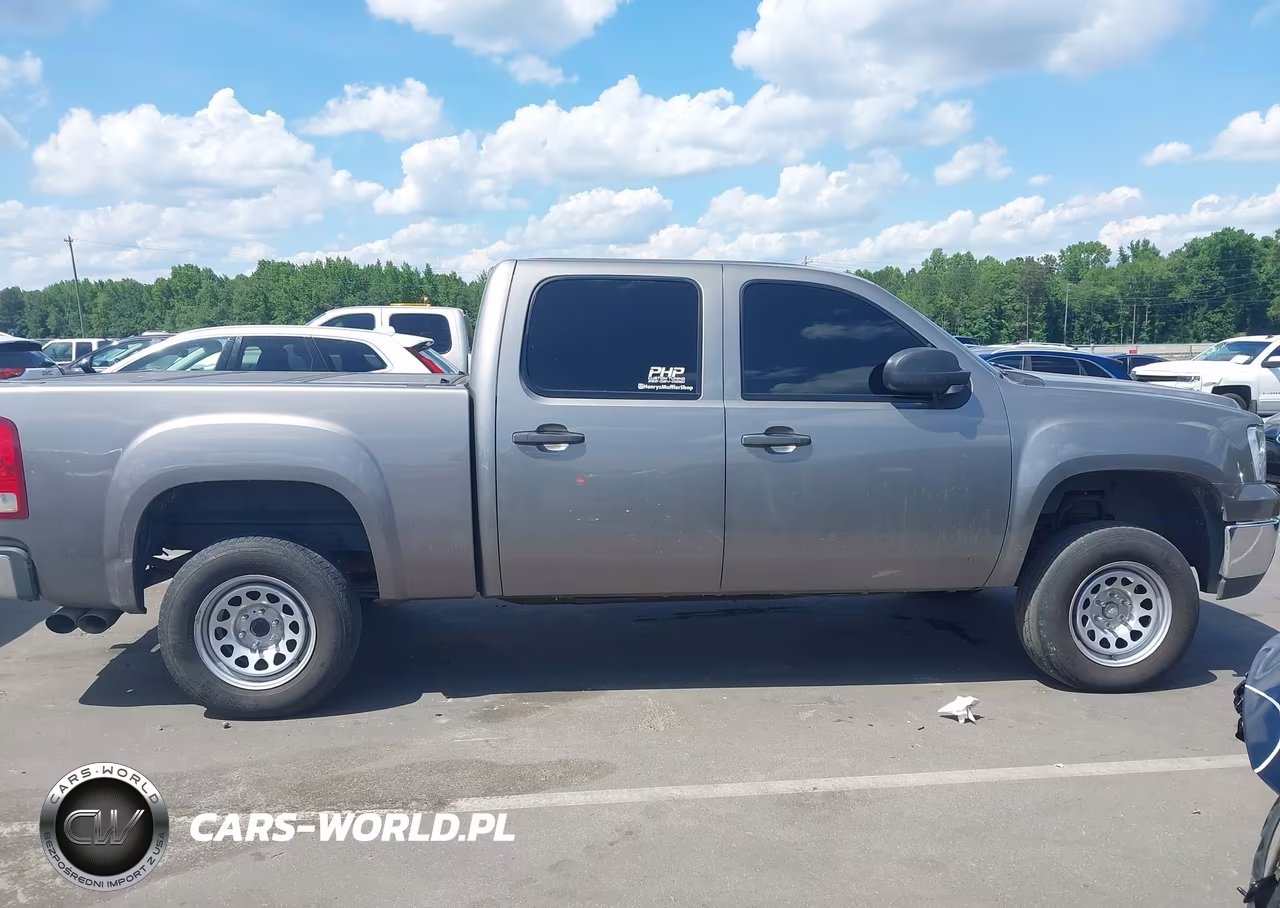 2009 GMC Sierra 1500 Sle VIN:3GTEK23M59G118029 - 13