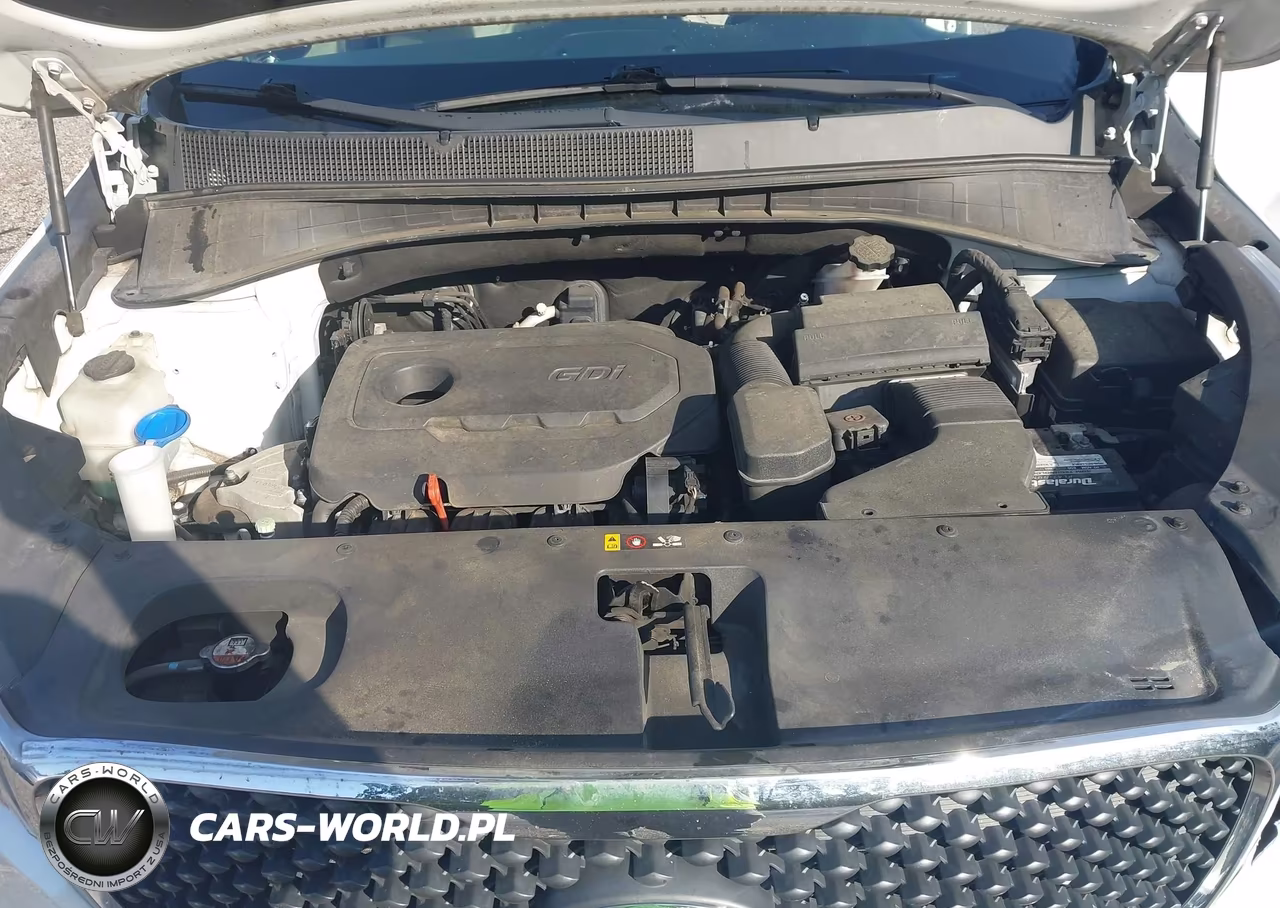 2016 Kia Sorento 2.4L Lx VIN:5XYPG4A31GG087258 - 10