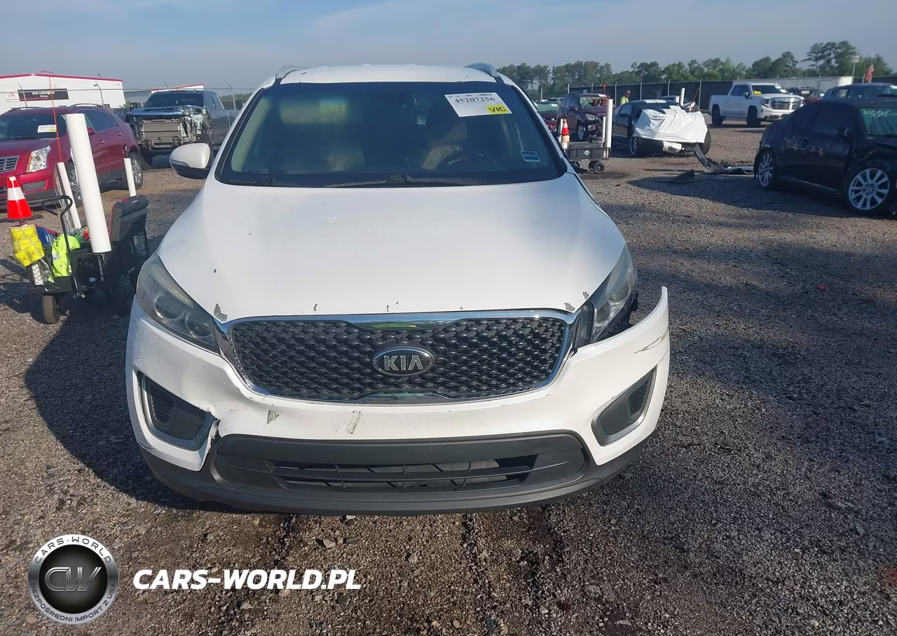 2016 Kia Sorento 2.4L Lx VIN:5XYPG4A31GG087258 - 12