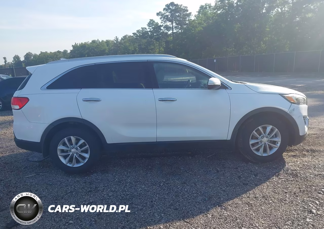 2016 Kia Sorento 2.4L Lx VIN:5XYPG4A31GG087258 - 13