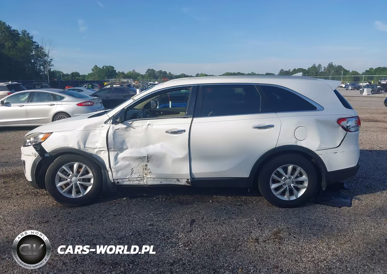 2016 Kia Sorento 2.4L Lx VIN:5XYPG4A31GG087258 - 14