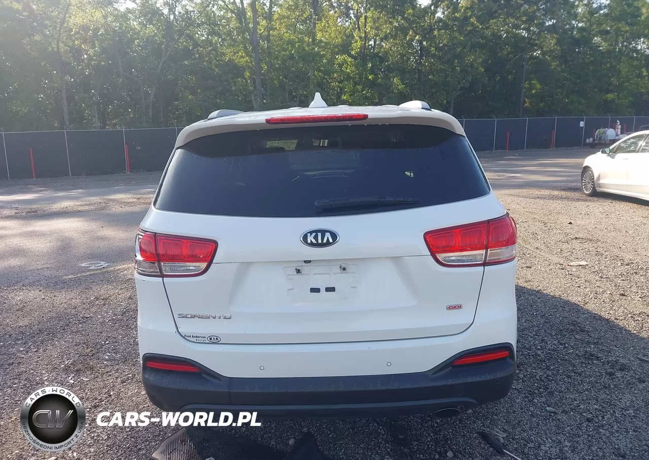 2016 Kia Sorento 2.4L Lx VIN:5XYPG4A31GG087258 - 16