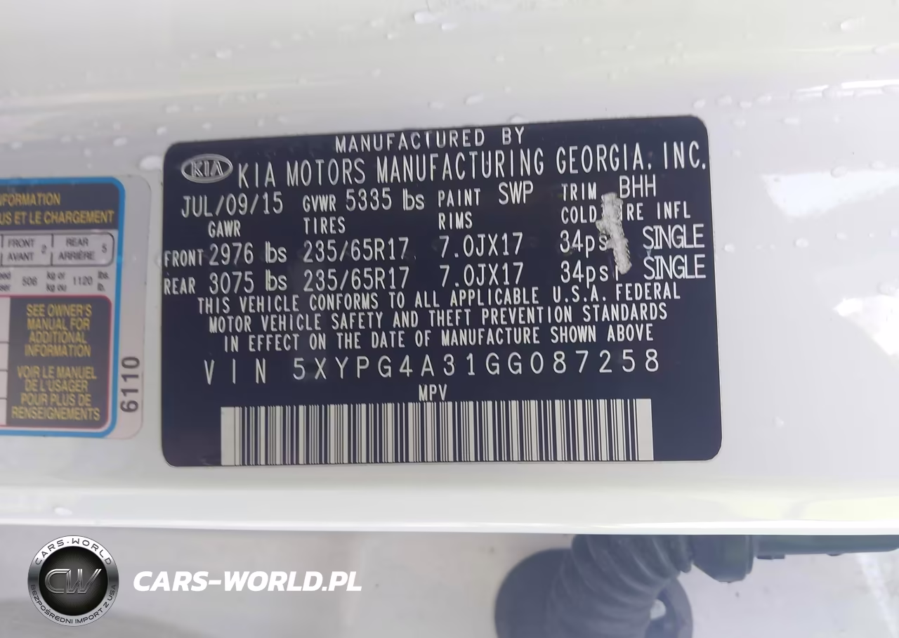 2016 Kia Sorento 2.4L Lx VIN:5XYPG4A31GG087258 - 9