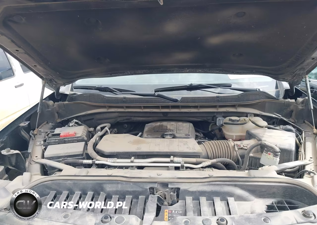 2023 Chevrolet Silverado 1500 4Wd Short Bed Custom Trail Boss VIN:3GCPDCEK7PG281489 - 10