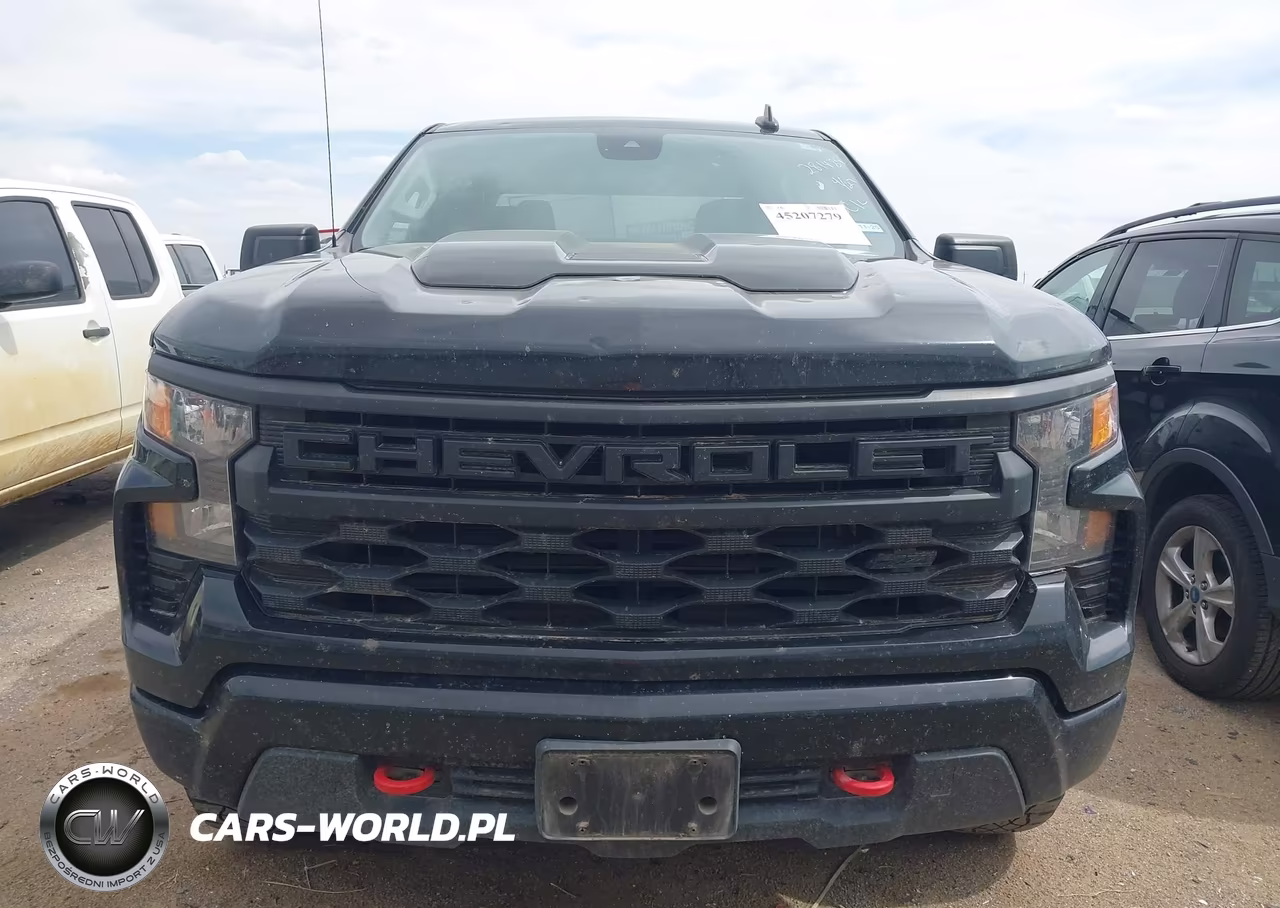 2023 Chevrolet Silverado 1500 4Wd Short Bed Custom Trail Boss VIN:3GCPDCEK7PG281489 - 12