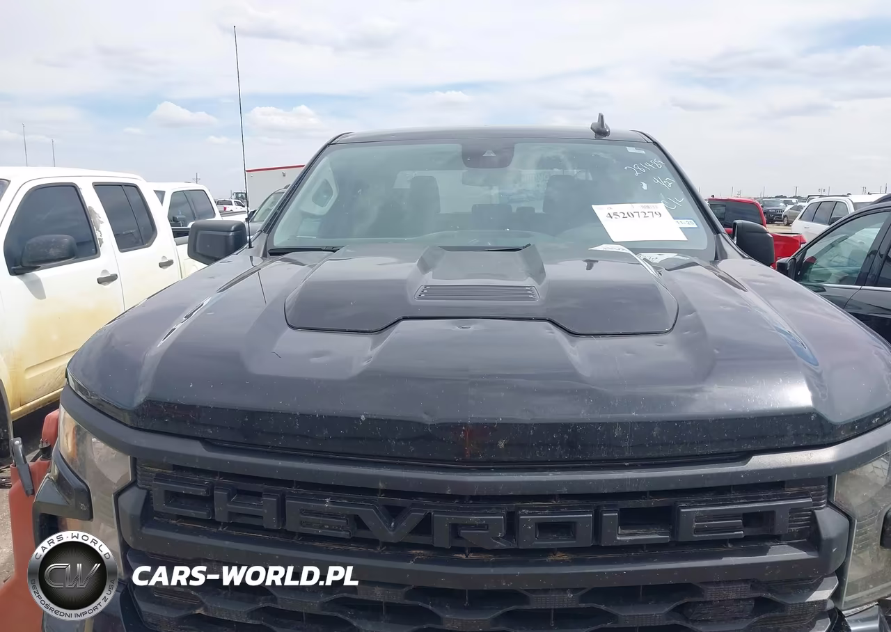 2023 Chevrolet Silverado 1500 4Wd Short Bed Custom Trail Boss VIN:3GCPDCEK7PG281489 - 6