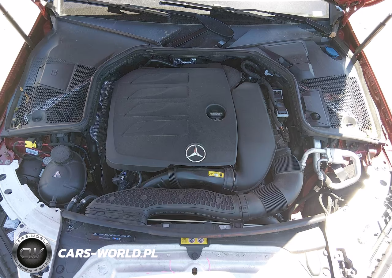 2019 Mercedes-Benz C 300 VIN:55SWF8DB5KU307525 - 10