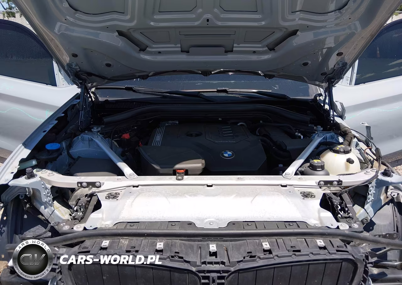 2022 BMW X4 xDrive30I VIN:5UX33DT00N9K01342 - 10
