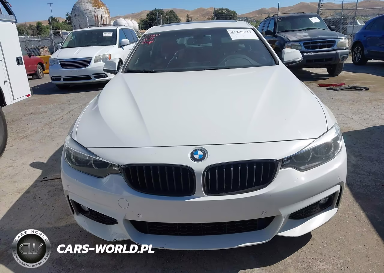 2019 BMW 430I Gran Coupe VIN:WBA4J1C56KBM14481 - 12