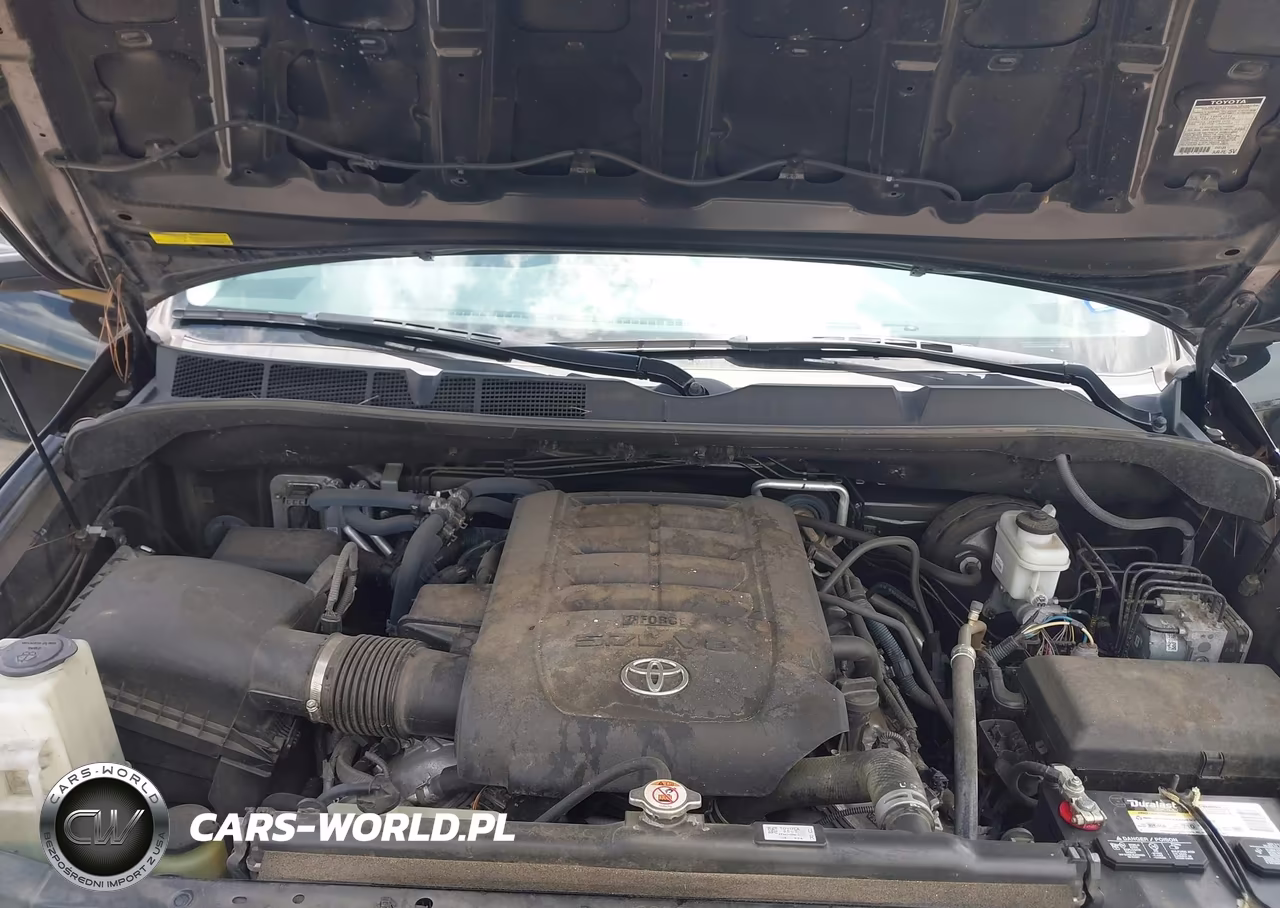 2019 Toyota Sequoia Platinum VIN:5TDYY5G17KS073082 - 10