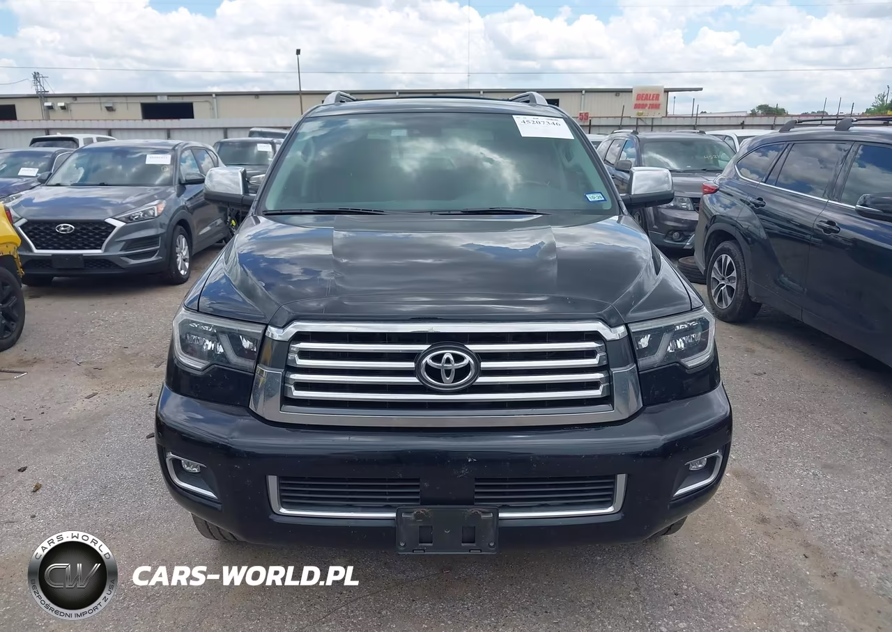 2019 Toyota Sequoia Platinum VIN:5TDYY5G17KS073082 - 12