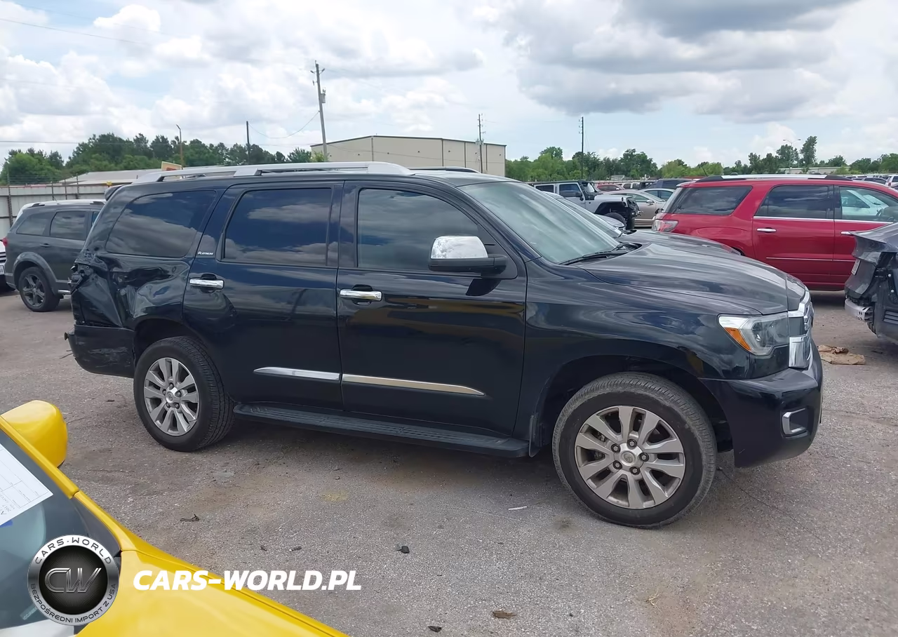 2019 Toyota Sequoia Platinum VIN:5TDYY5G17KS073082 - 13