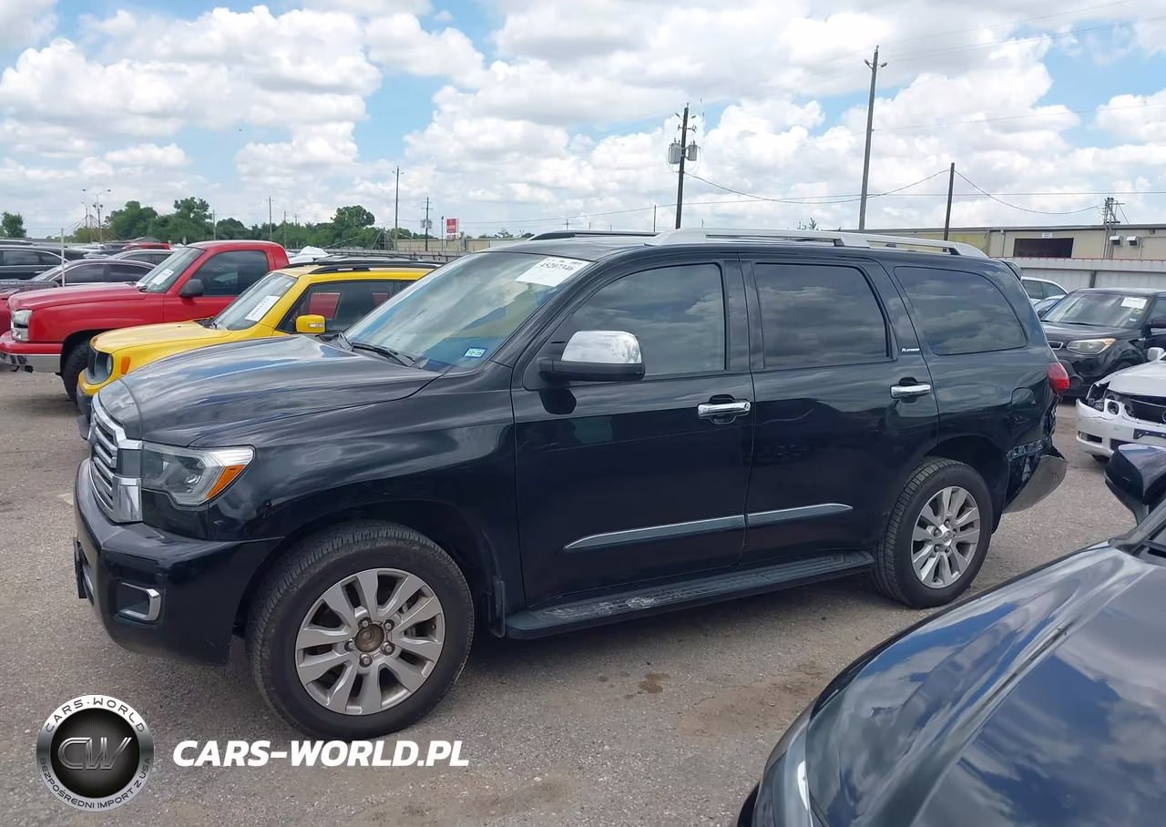 2019 Toyota Sequoia Platinum VIN:5TDYY5G17KS073082 - 14