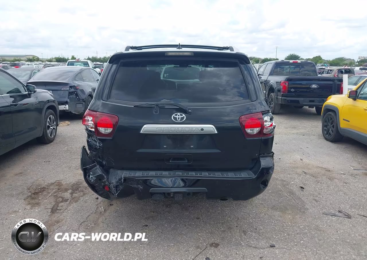2019 Toyota Sequoia Platinum VIN:5TDYY5G17KS073082 - 16