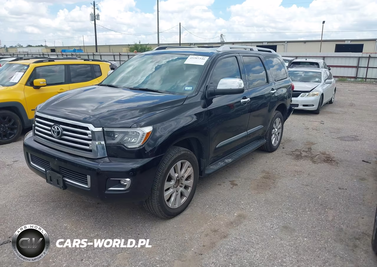 2019 Toyota Sequoia Platinum VIN:5TDYY5G17KS073082 - 2