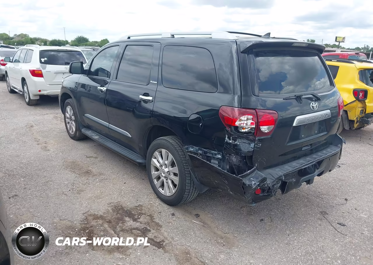 2019 Toyota Sequoia Platinum VIN:5TDYY5G17KS073082 - 3