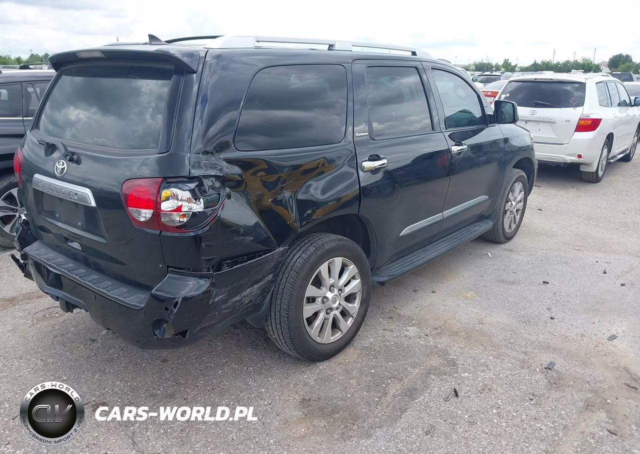 2019 Toyota Sequoia Platinum VIN:5TDYY5G17KS073082 - 4