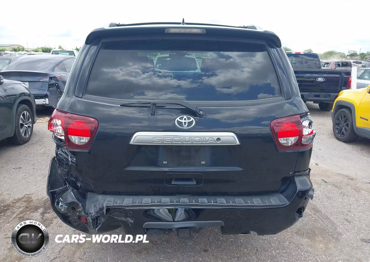 2019 Toyota Sequoia Platinum VIN:5TDYY5G17KS073082 - 6