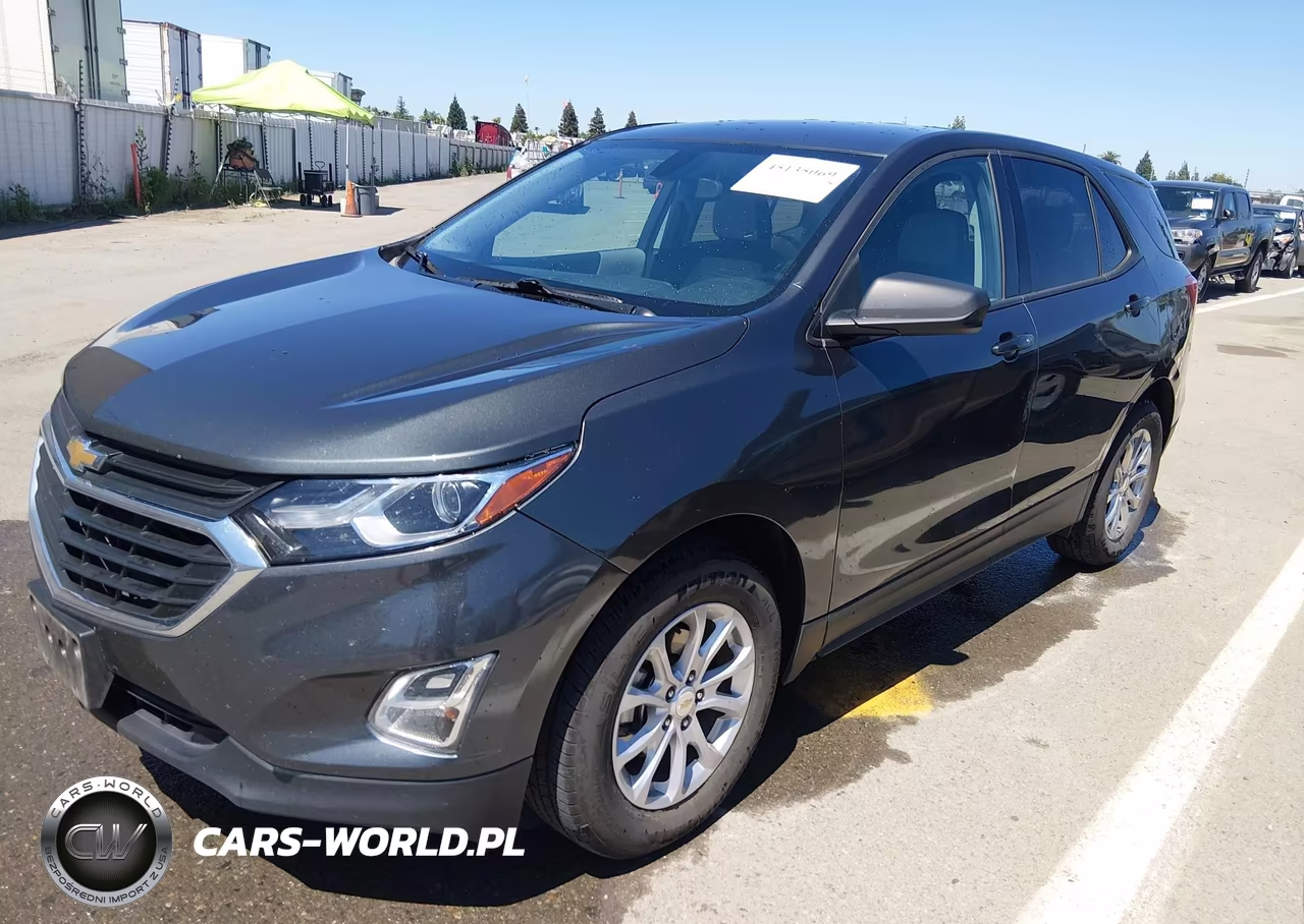 2019 Chevrolet Equinox Ls VIN:3GNAXSEV7KS508596 - 2