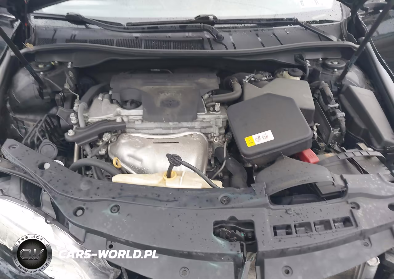 2016 Toyota Camry Xse VIN:4T1BF1FK2GU262249 - 10