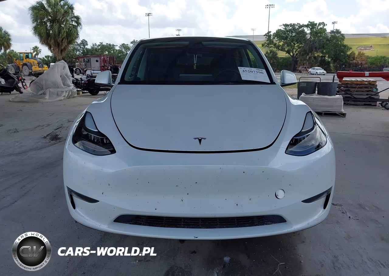 2023 Tesla Model Y Awd-Long Range Dual Motor All-Wheel Drive VIN:7SAYGDEE3PA177907 - 11