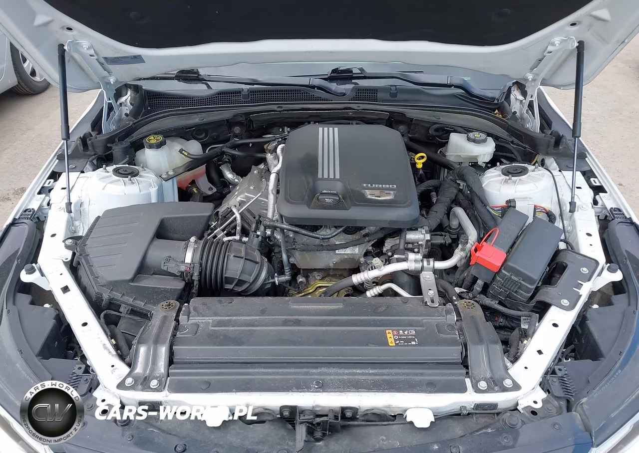 2024 Cadillac Ct4 Sport VIN:1G6DG5RK5R0109973 - 10