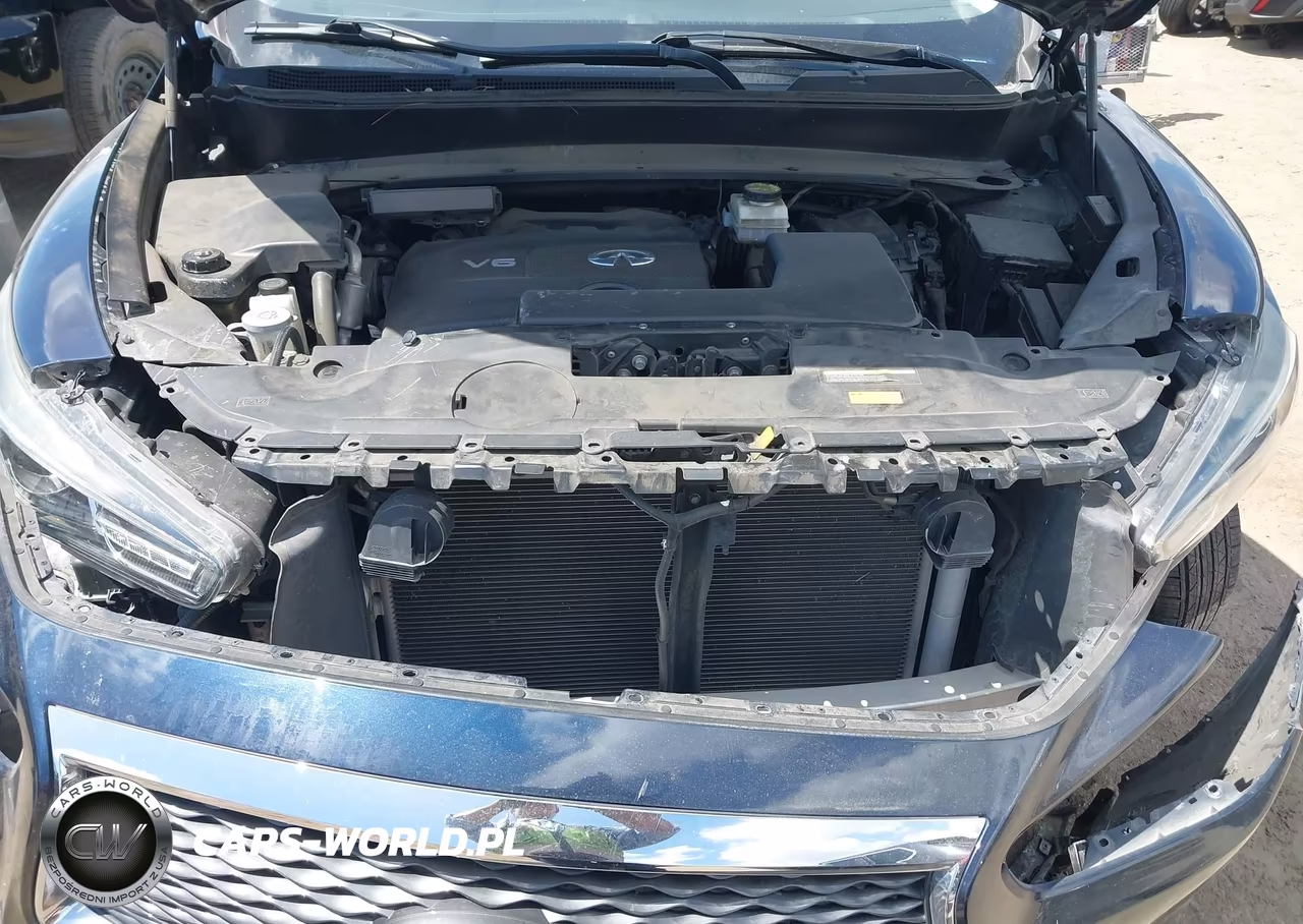 2020 Infiniti Qx60 Luxe VIN:5N1DL0MN4LC501700 - 10