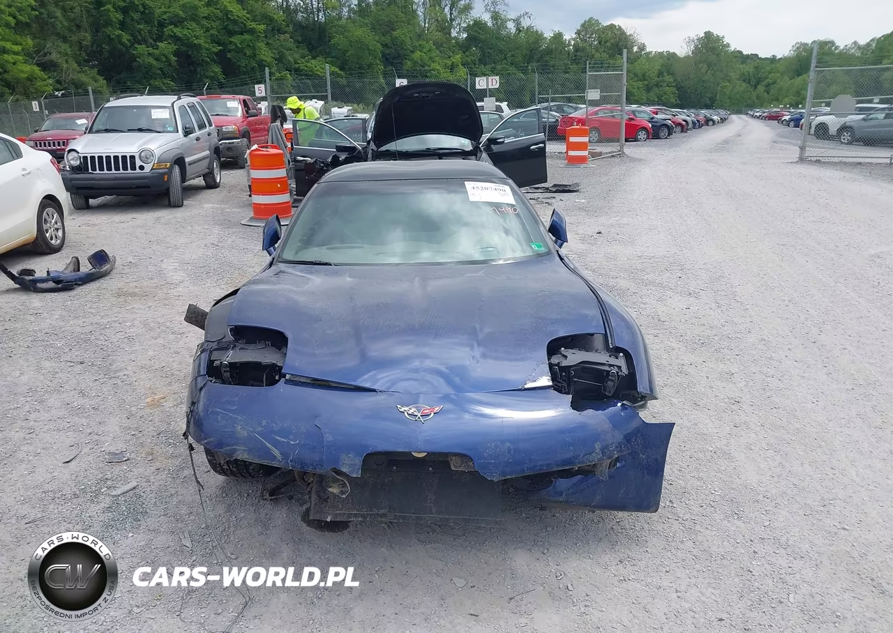 2004 Chevrolet Corvette VIN:1G1YY22G045103745 - 12
