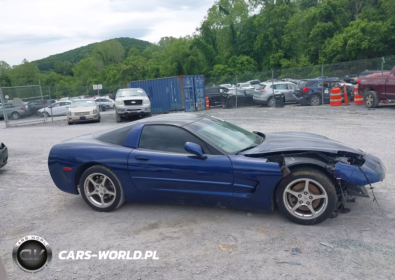 2004 Chevrolet Corvette VIN:1G1YY22G045103745 - 13