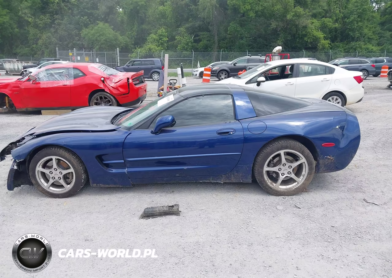 2004 Chevrolet Corvette VIN:1G1YY22G045103745 - 14