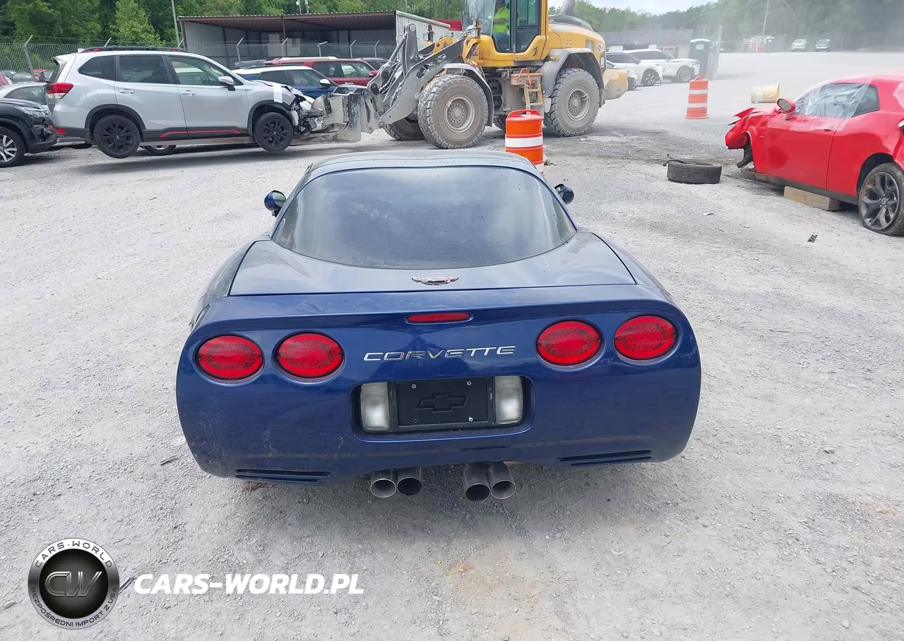 2004 Chevrolet Corvette VIN:1G1YY22G045103745 - 16
