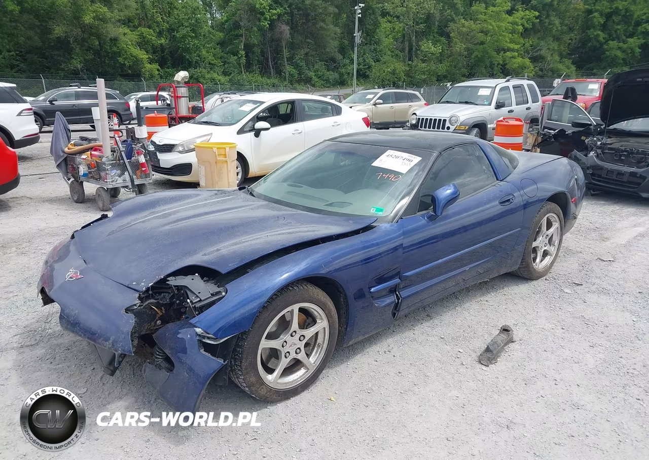 2004 Chevrolet Corvette VIN:1G1YY22G045103745 - 2