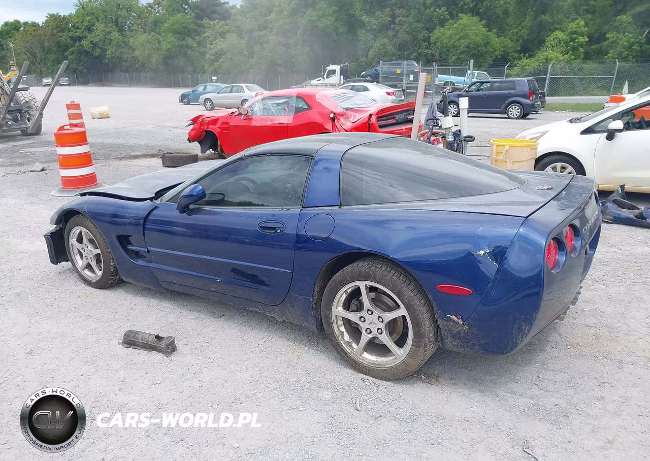 2004 Chevrolet Corvette VIN:1G1YY22G045103745 - 3