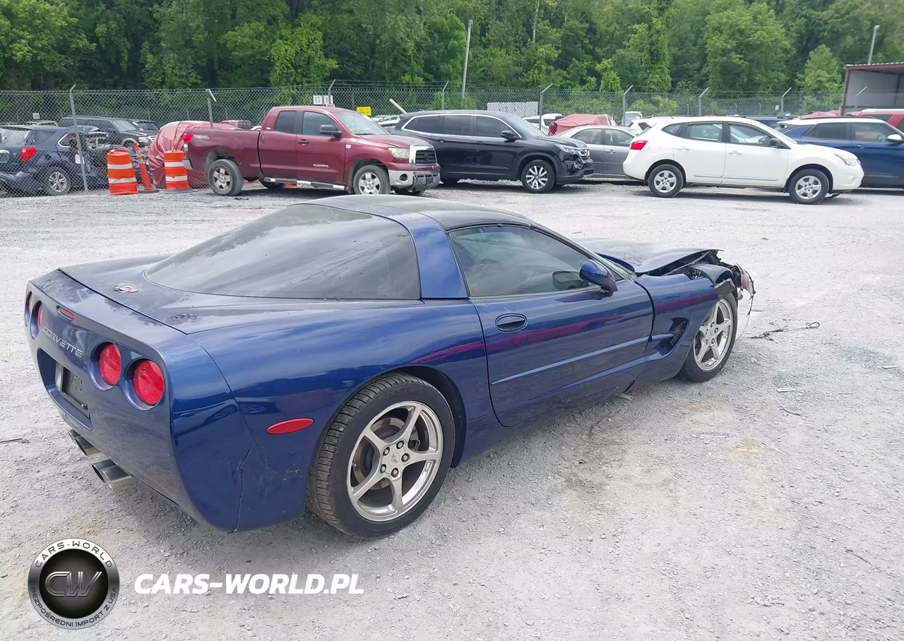 2004 Chevrolet Corvette VIN:1G1YY22G045103745 - 4