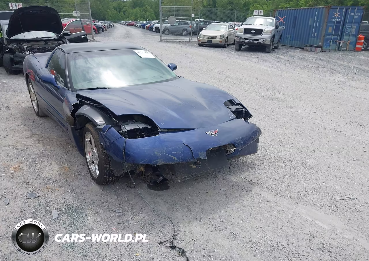 2004 Chevrolet Corvette VIN:1G1YY22G045103745 - 6