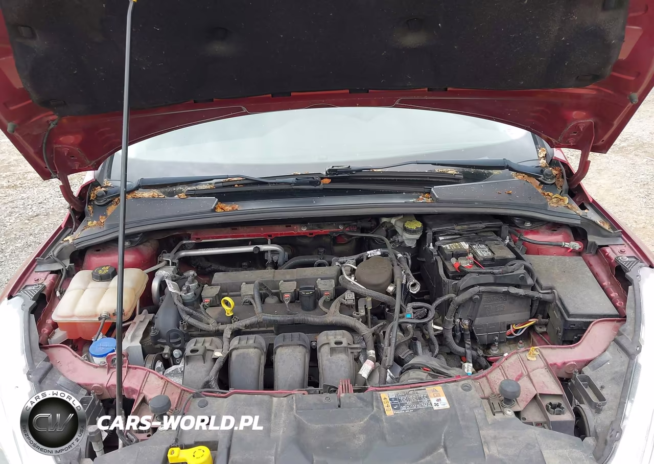 2015 Ford Focus Se VIN:1FADP3F21FL200440 - 10