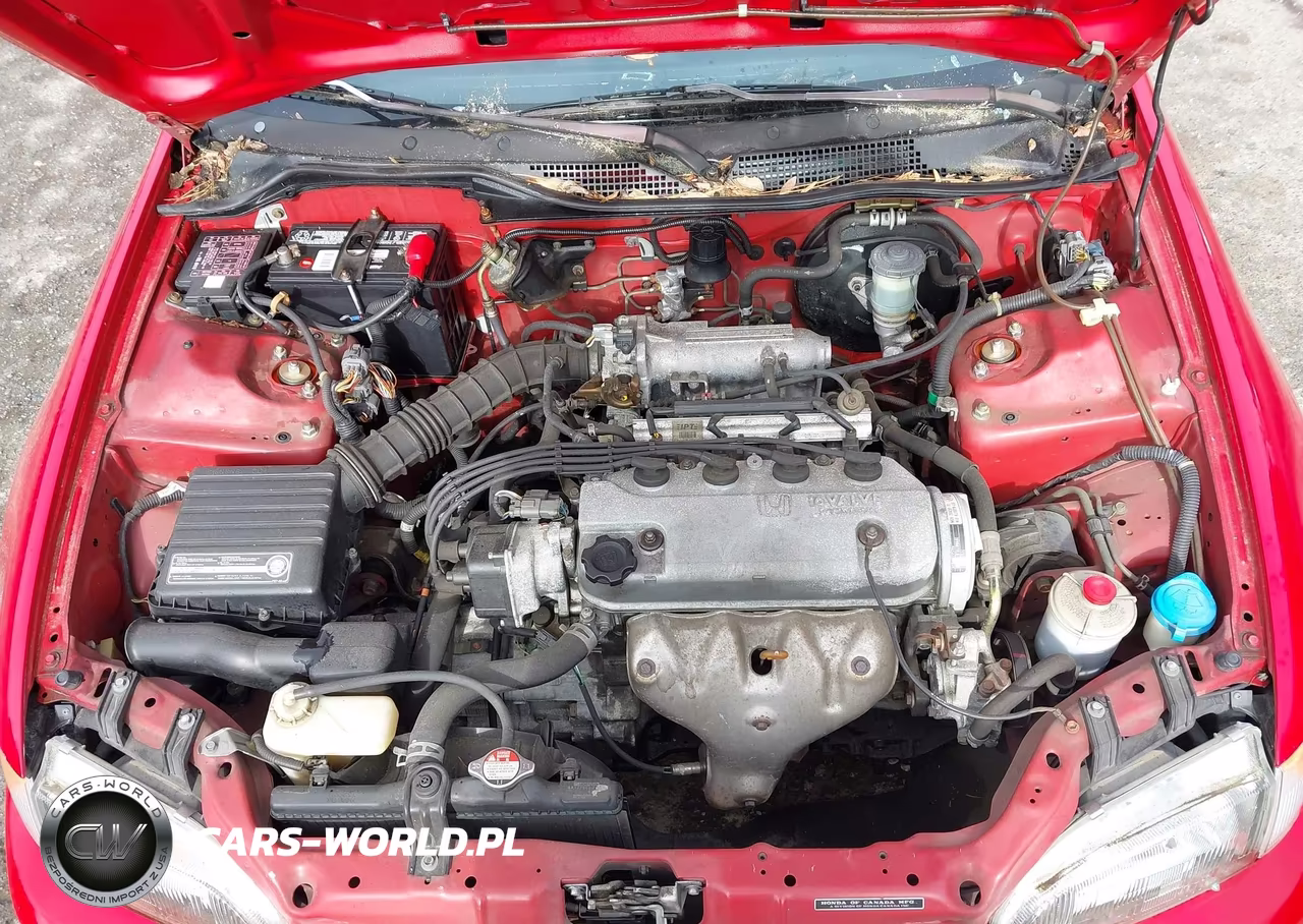 1995 Honda Civic Dx VIN:2HGEH246XSH500305 - 10