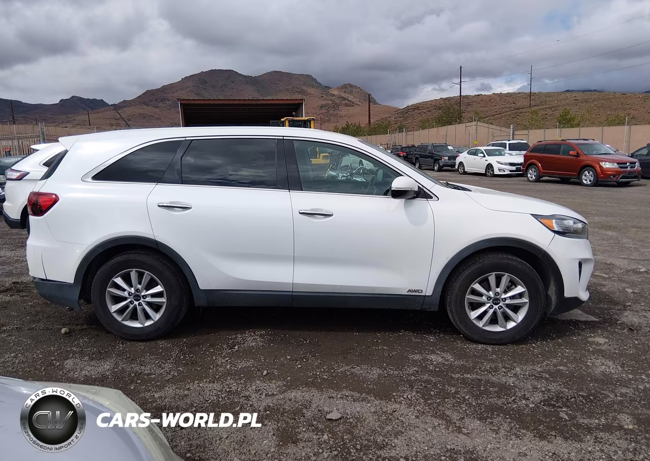 2020 Kia Sorento 3.3L Lx VIN:5XYPGDA59LG612899 - 13