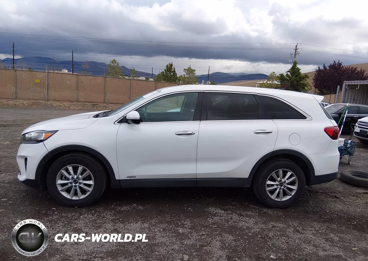 2020 Kia Sorento 3.3L Lx VIN:5XYPGDA59LG612899 - 14