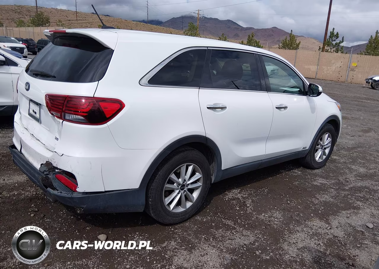 2020 Kia Sorento 3.3L Lx VIN:5XYPGDA59LG612899 - 4
