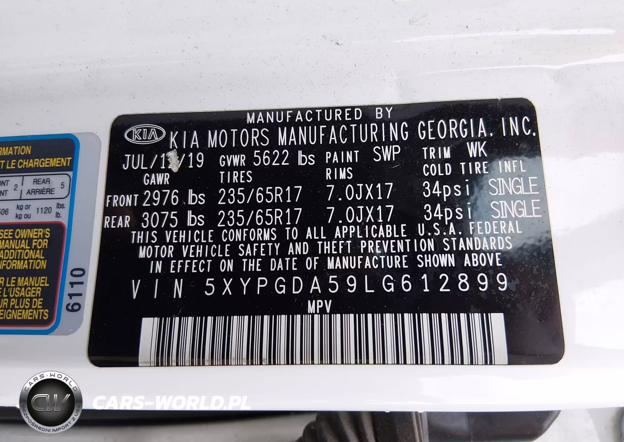 2020 Kia Sorento 3.3L Lx VIN:5XYPGDA59LG612899 - 9